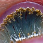 Noclegi Pobierowo – Idealny Wypoczynek nad Morzem