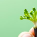 Sposoby na Szybki Wzrost Paznokci – Dowiedz się Jak!